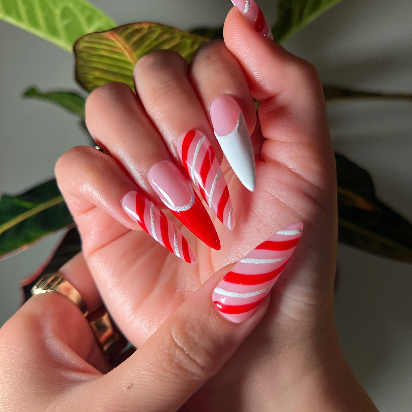 CANDY CANE