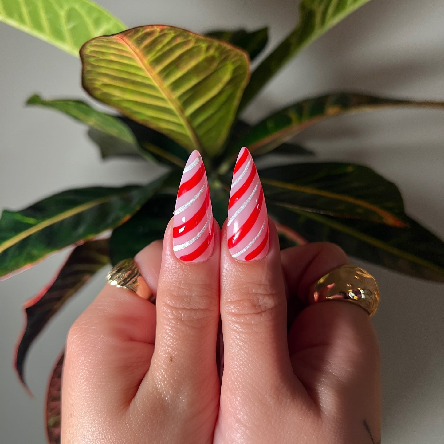 CANDY CANE