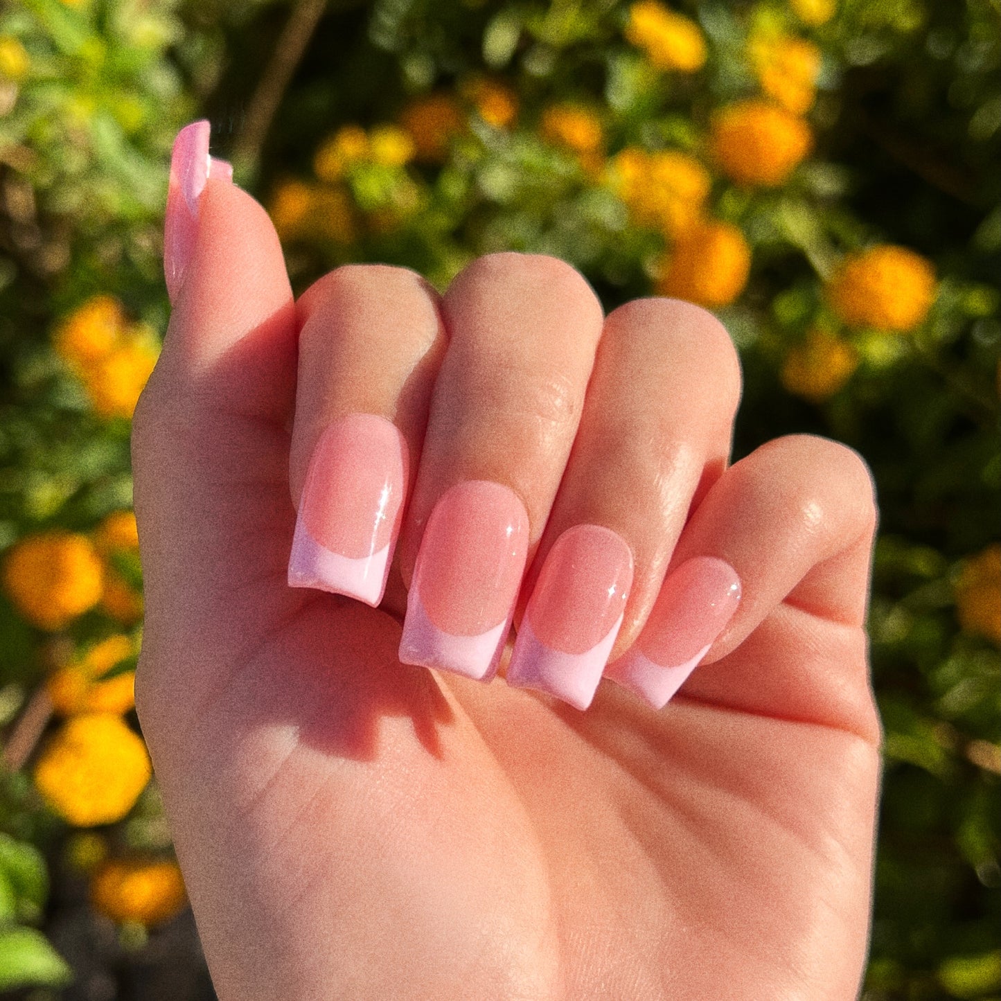 BABY PINK FRENCH TIPS