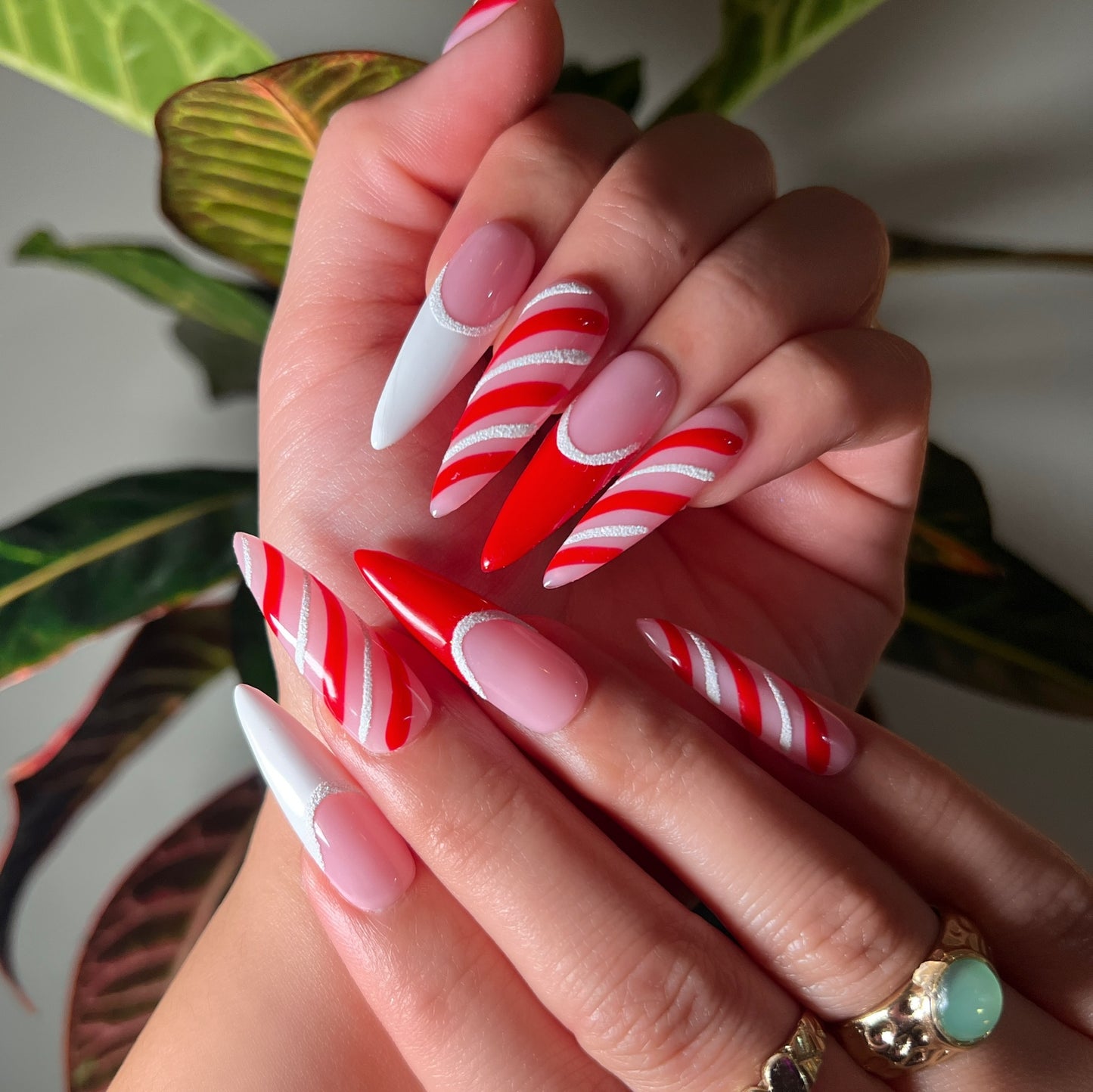 CANDY CANE