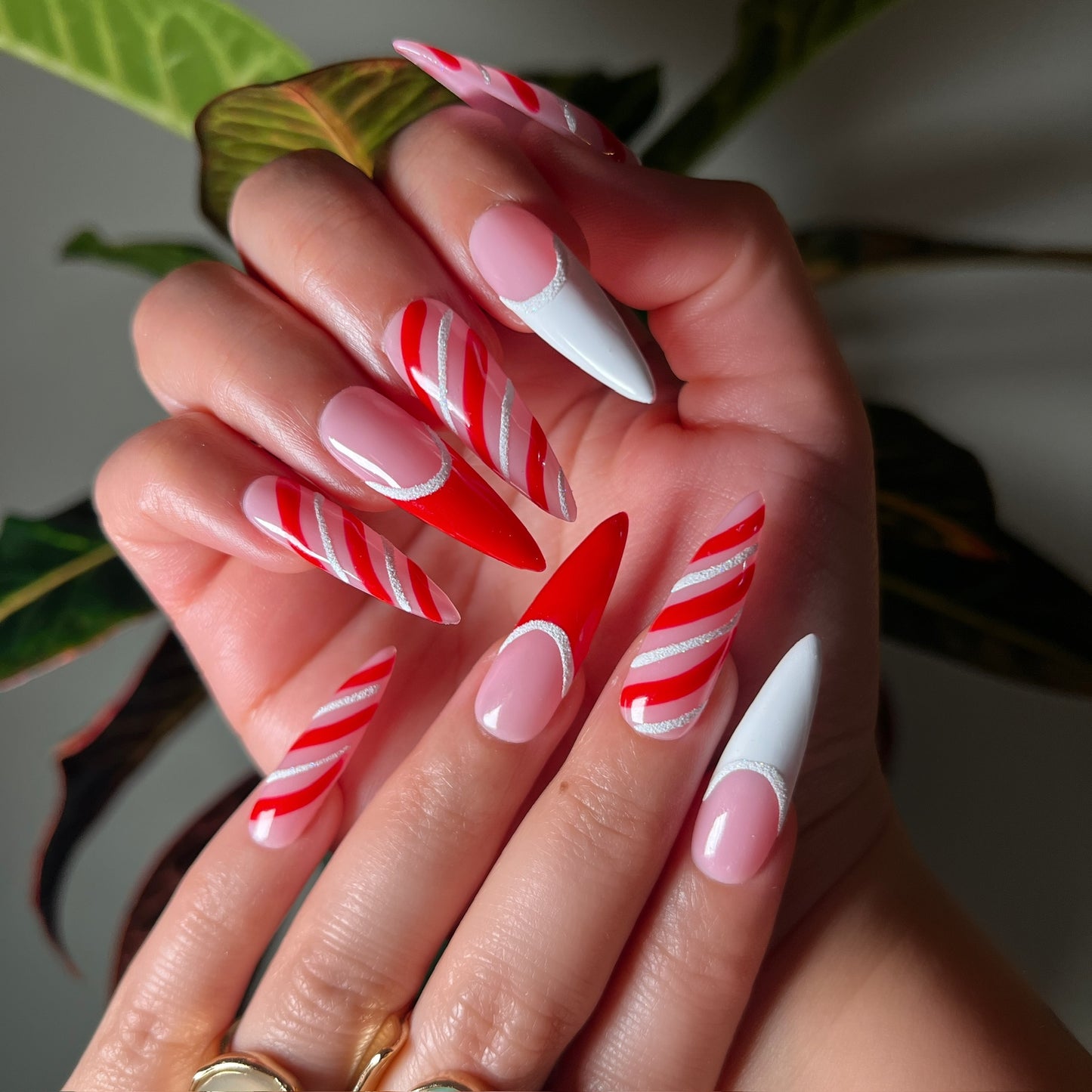 CANDY CANE